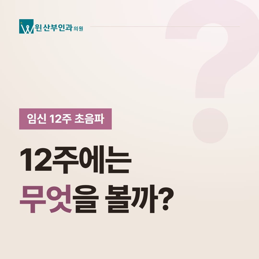 임신 12주 초음파, 12주에는 무엇을 볼까? — 윈산부인과의원
