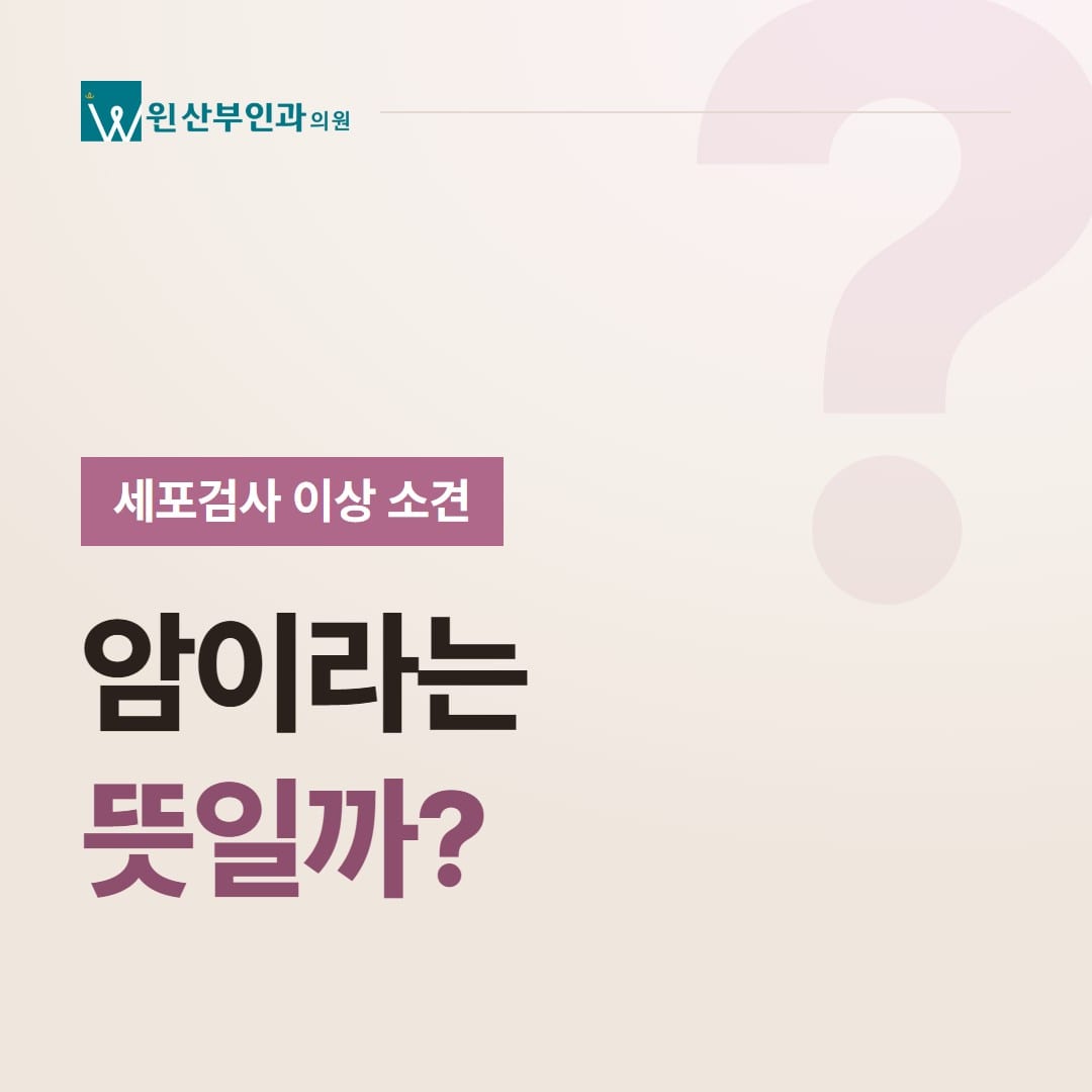 자궁경부 세포검사 이상 소견, 암이라는 뜻일까? — 윈산부인과의원